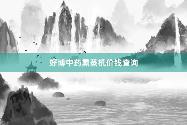好博中药熏蒸机价钱查询