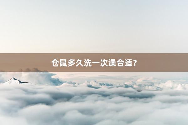 仓鼠多久洗一次澡合适？